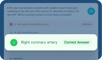Immediate Answer Feedback preview
